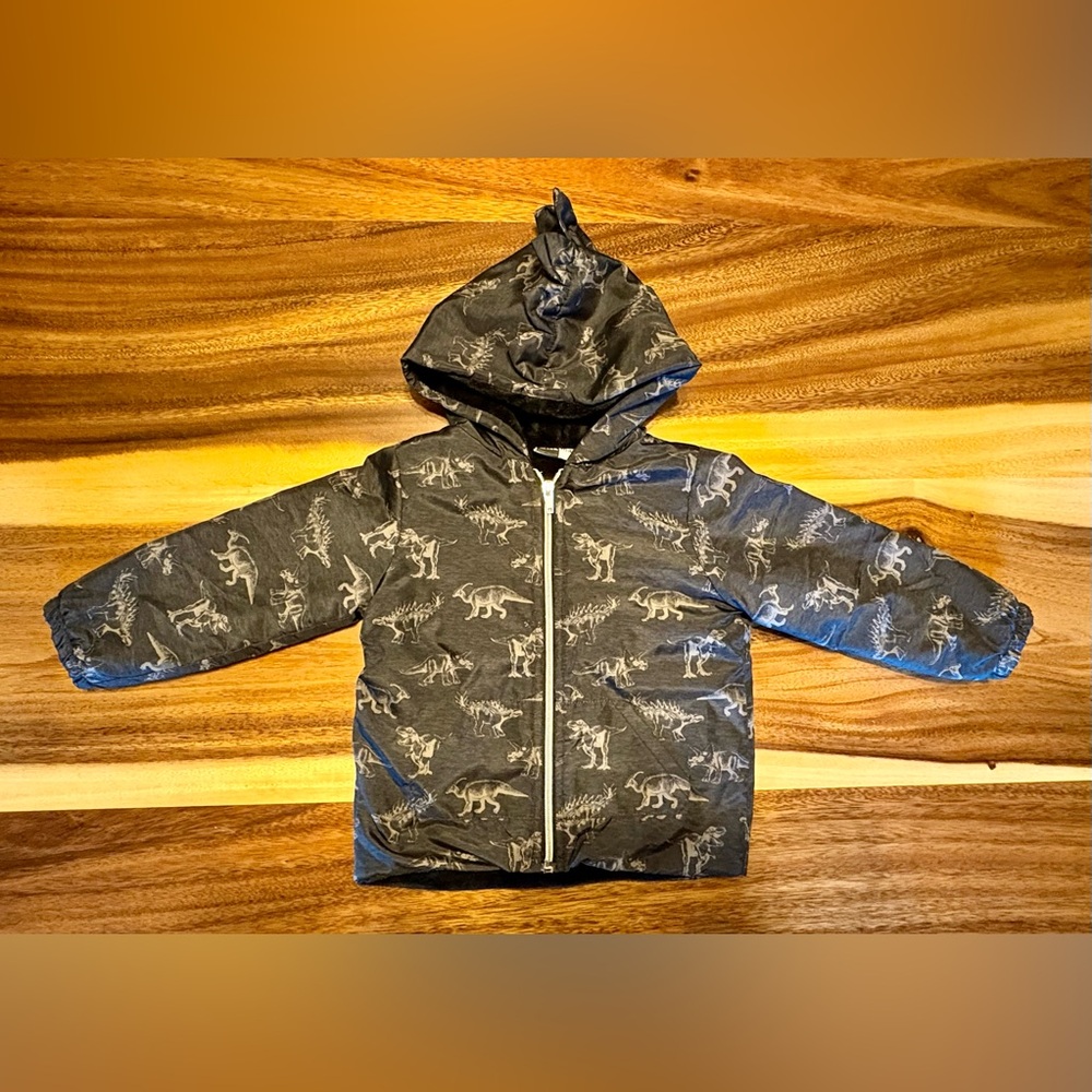 Mick Mack Gray and Black Hooded Jacket with Dinosaur Print and Faux Fur Lined